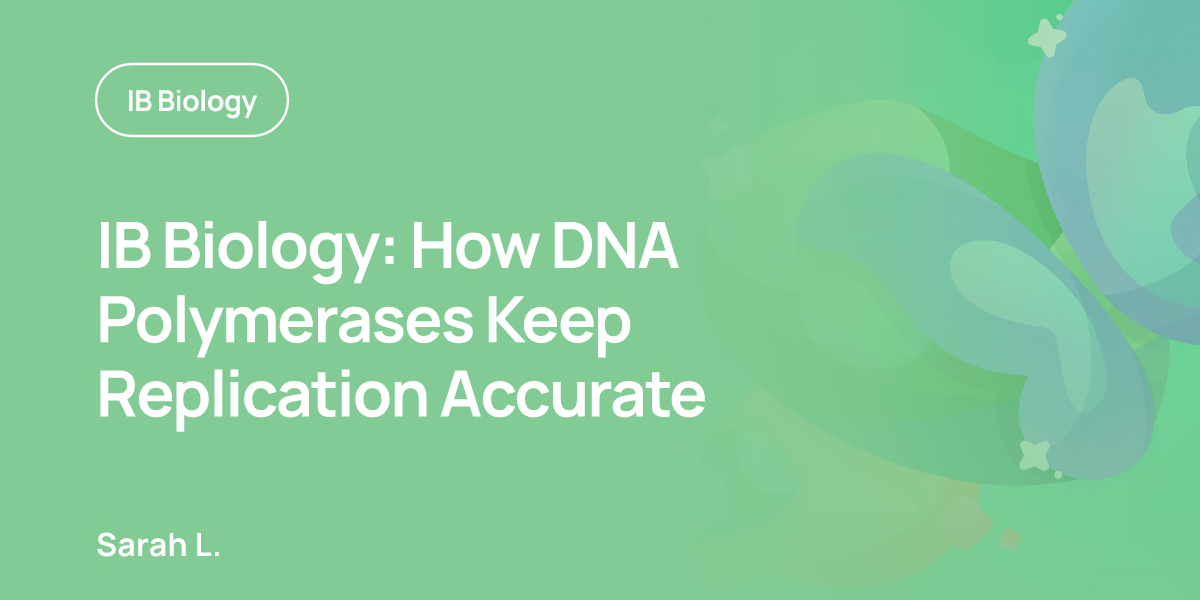 IB Biology: How DNA Polymerases Keep Replication Accurate