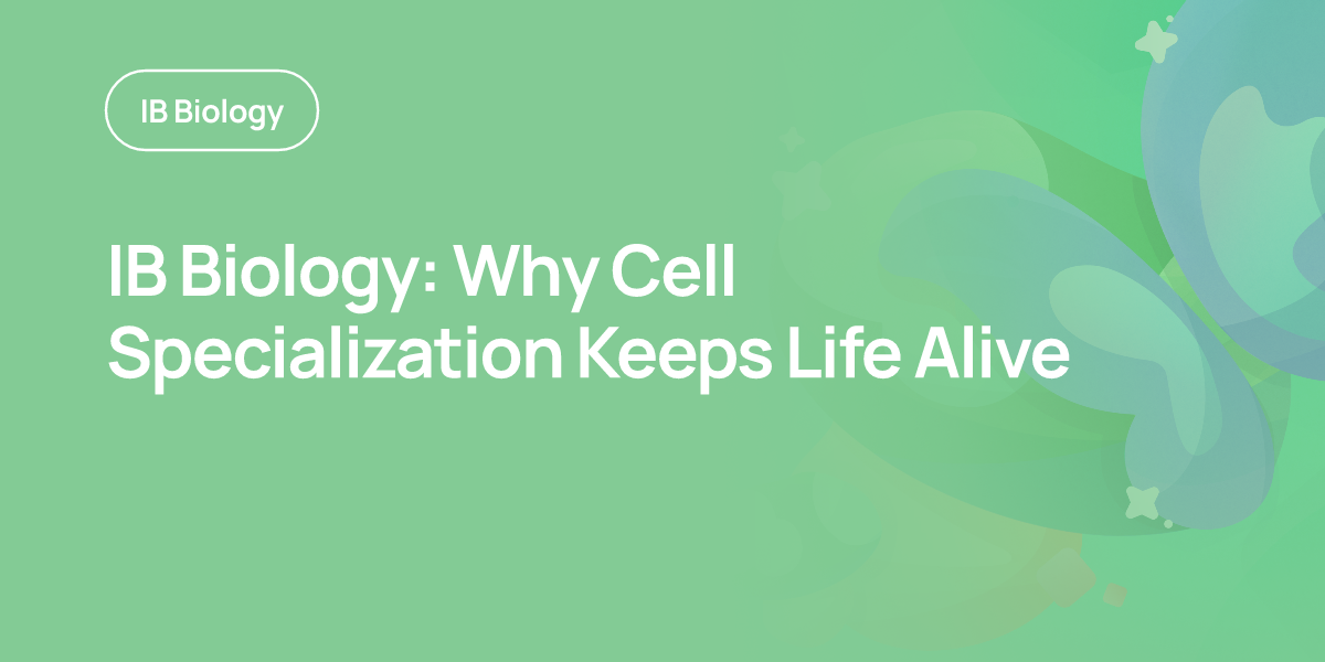IB Biology: Why Cell Specialization Keeps Life Alive