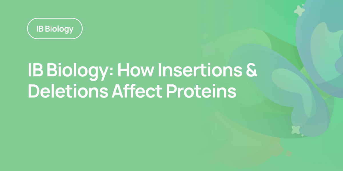 IB Biology: How Insertions & Deletions Affect Proteins