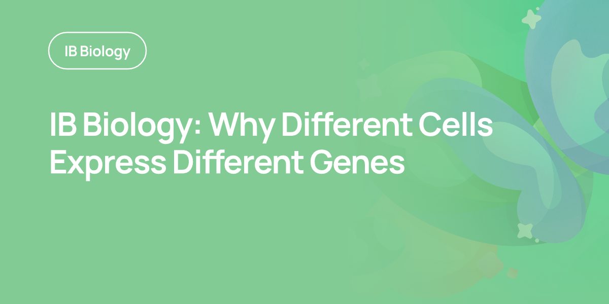 IB Biology: Why Different Cells Express Different Genes