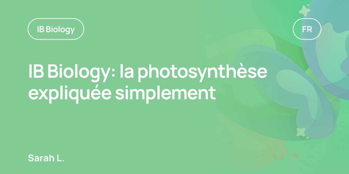 IB Biology: la photosynthèse expliquée simplement