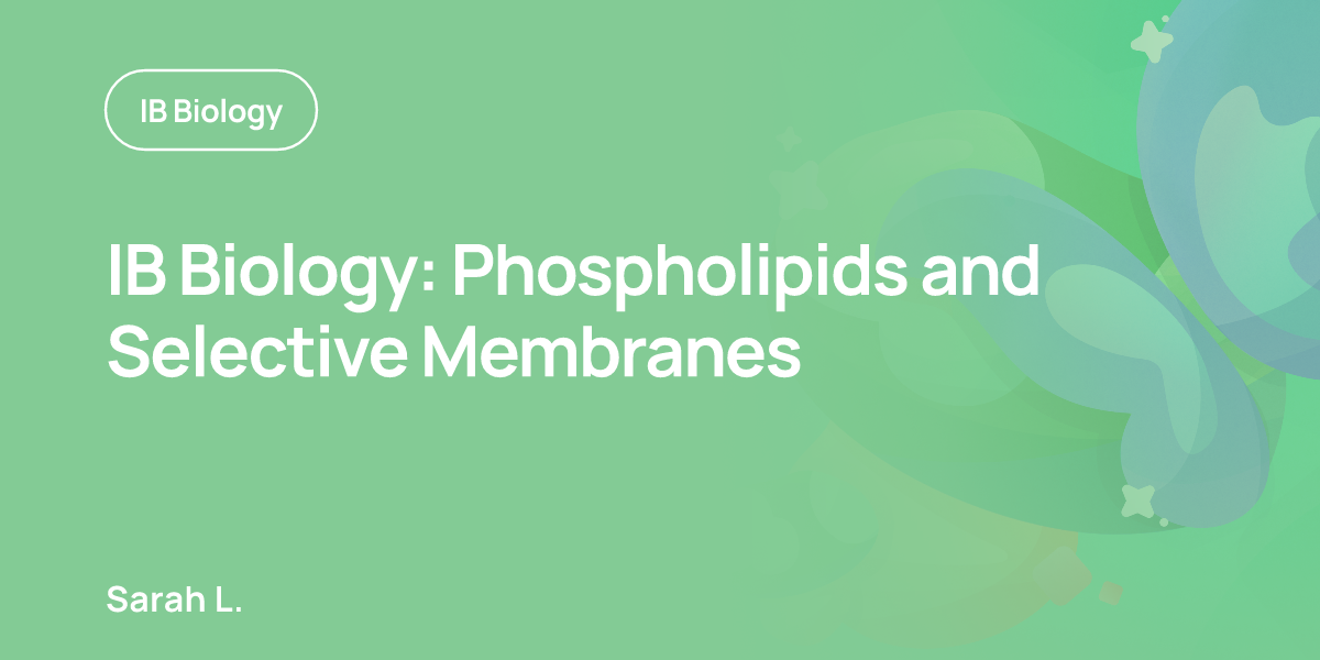 IB Biology: Phospholipids and Selective Membranes