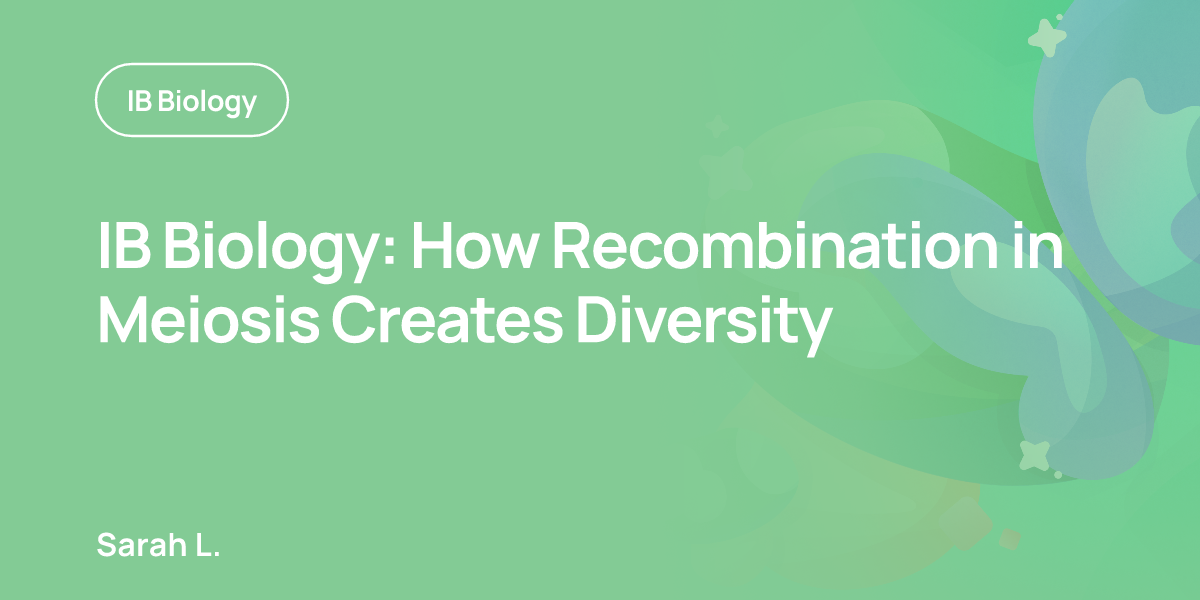 IB Biology: How Recombination in Meiosis Creates Diversity