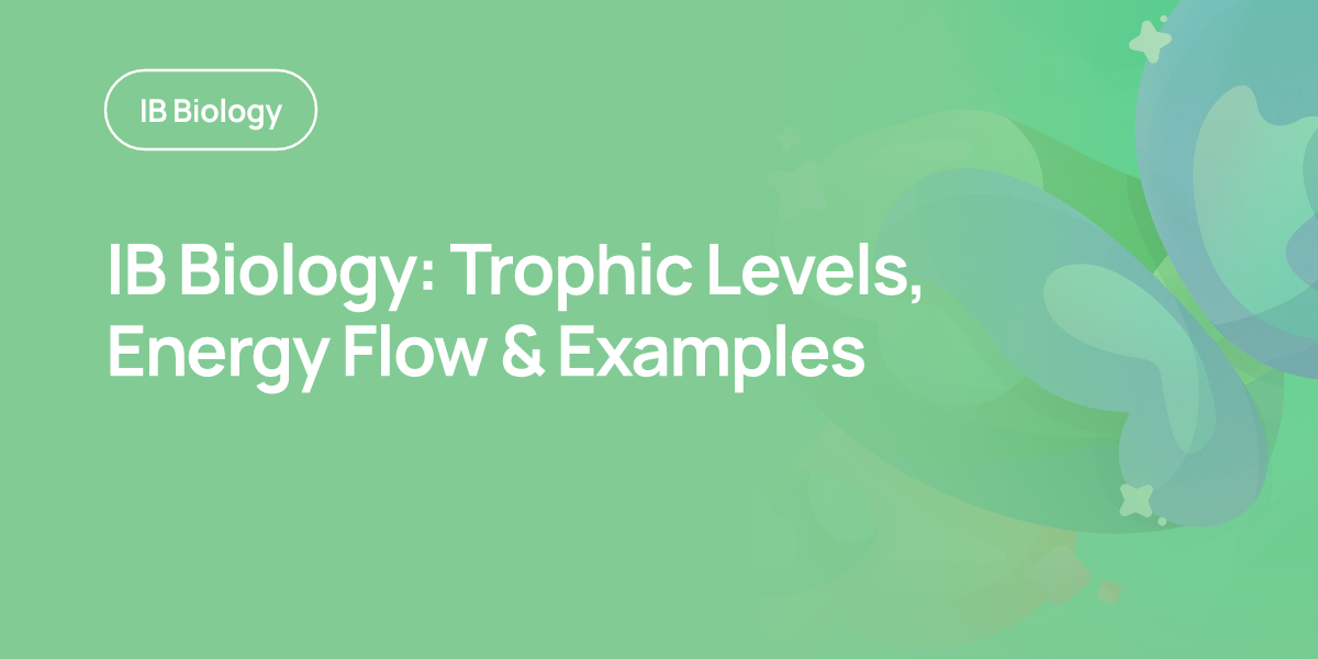 IB Biology: Trophic Levels, Energy Flow & Examples