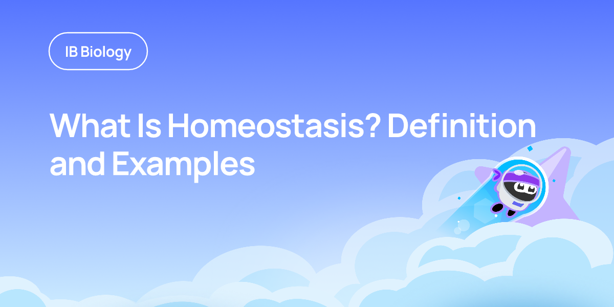 What Is Homeostasis? Definition and Examples