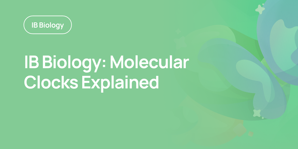 IB Biology: Molecular Clocks Explained