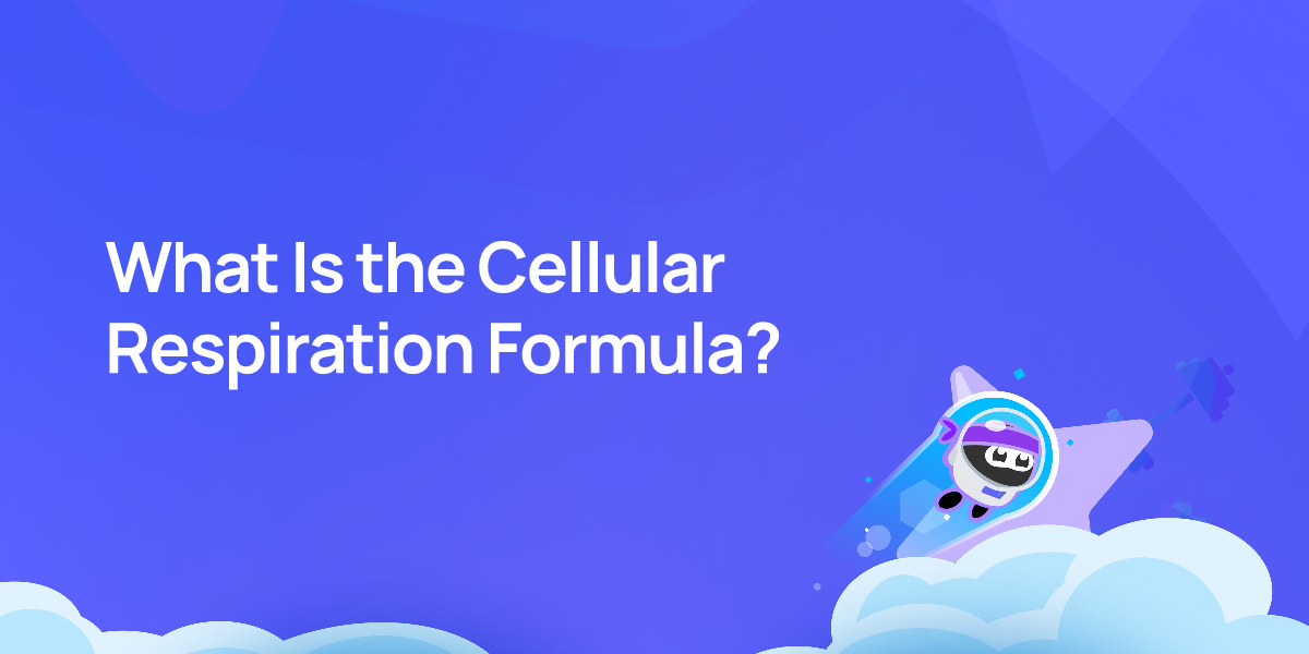 What Is the Cellular Respiration Formula?