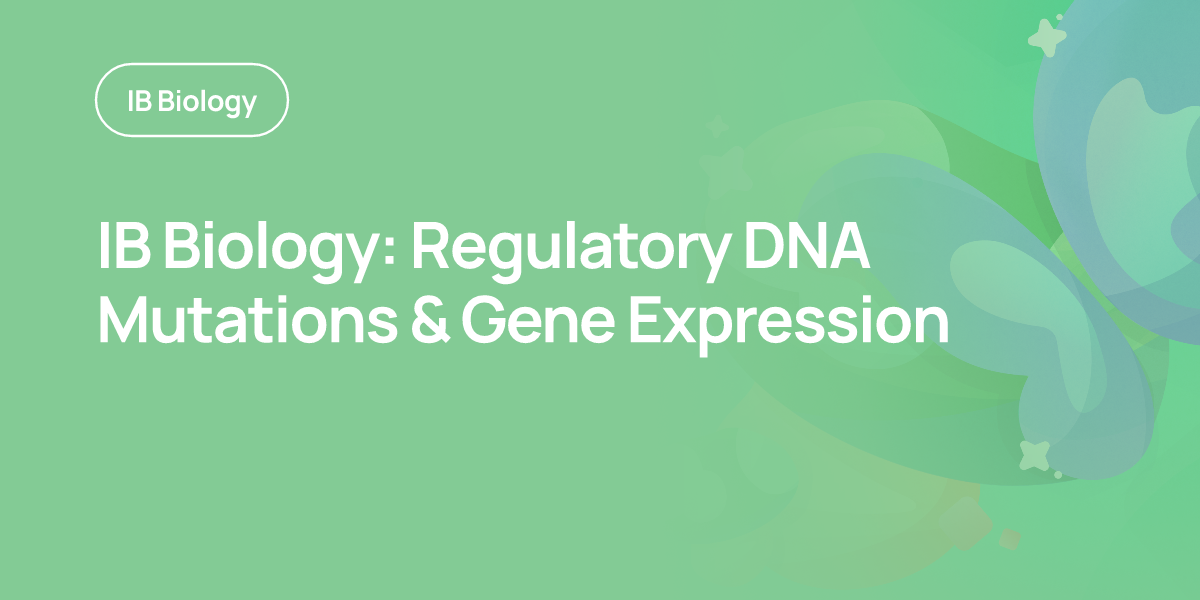 IB Biology: Regulatory DNA Mutations & Gene Expression