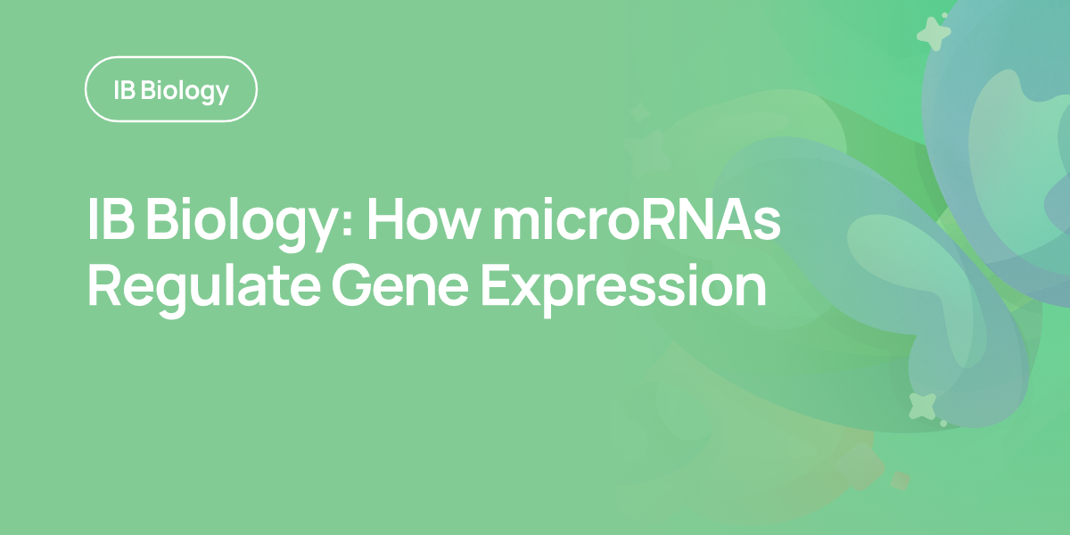 IB Biology: How microRNAs Regulate Gene Expression