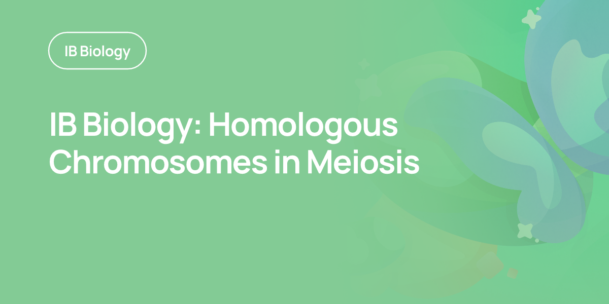 IB Biology: Homologous Chromosomes in Meiosis