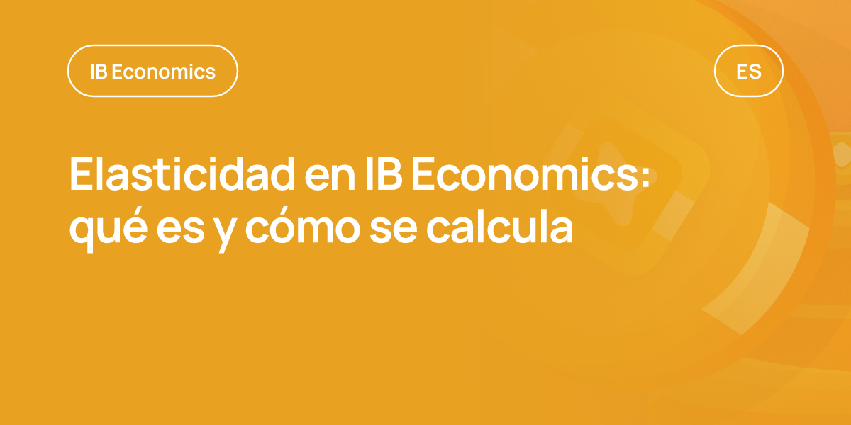 Elasticidad en IB Economics: qué es y cómo se calcula