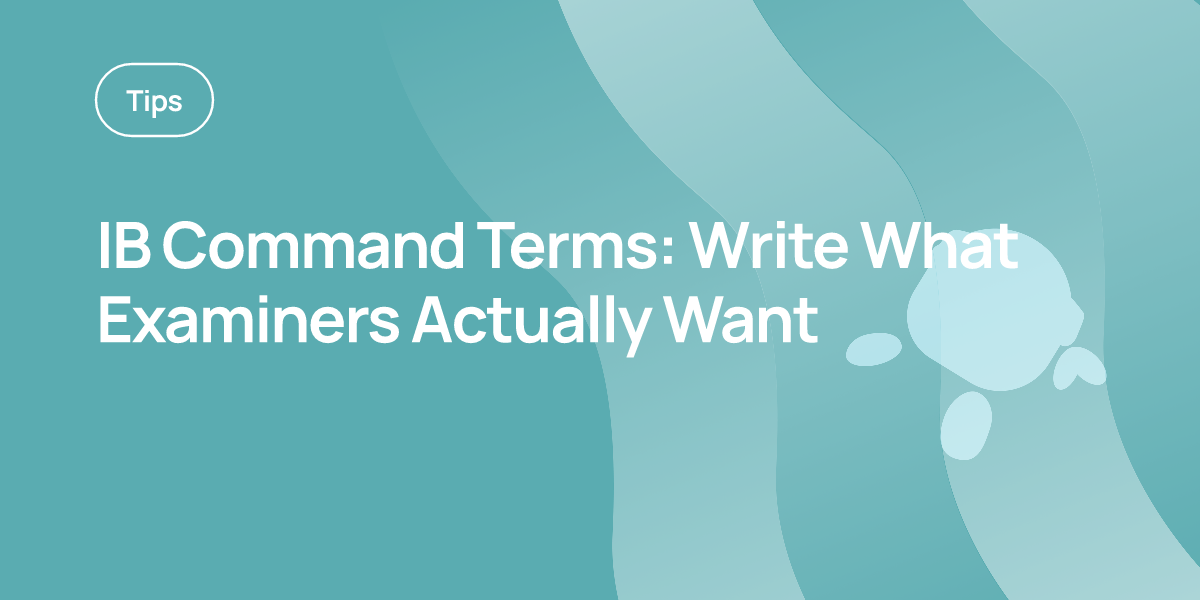 IB Command Terms: Write What Examiners Actually Want