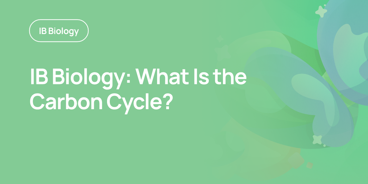 IB Biology: What Is the Carbon Cycle?