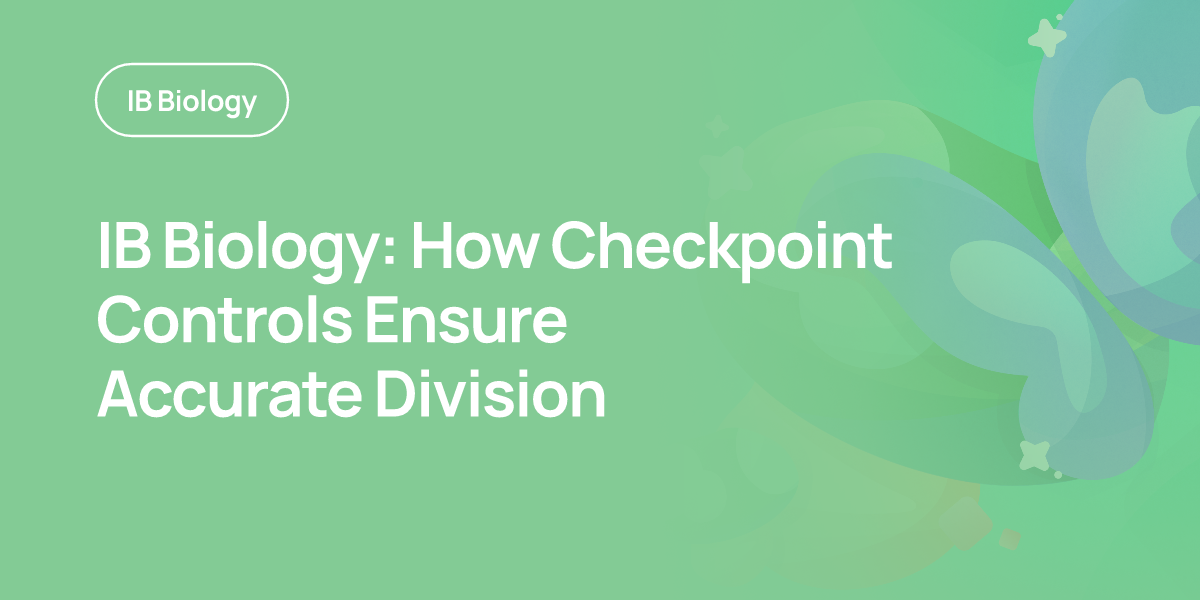 IB Biology: How Checkpoint Controls Ensure Accurate Division