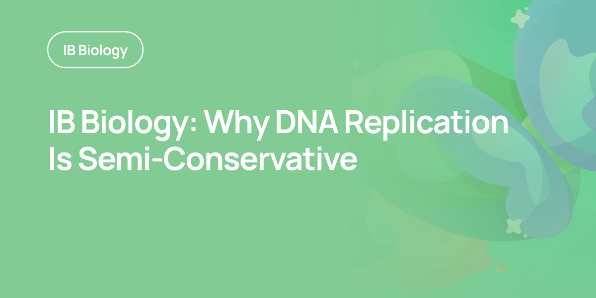 IB Biology: Why DNA Replication Is Semi-Conservative
