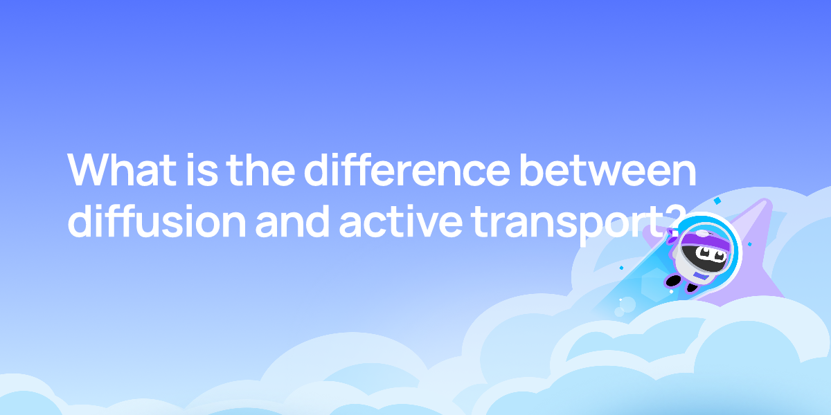 What is the difference between diffusion and active transport?
