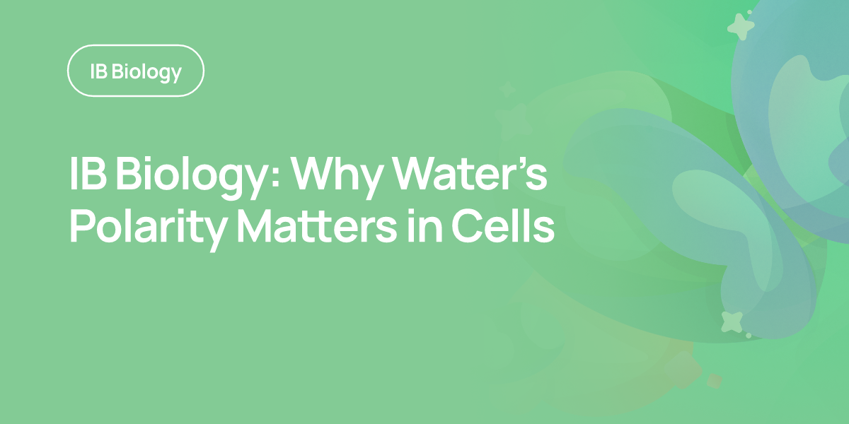 IB Biology: Why Water’s Polarity Matters in Cells
