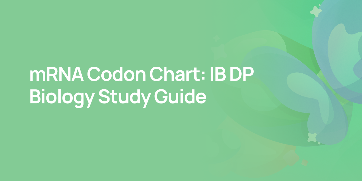 mRNA Codon Chart: IB DP Biology Study Guide
