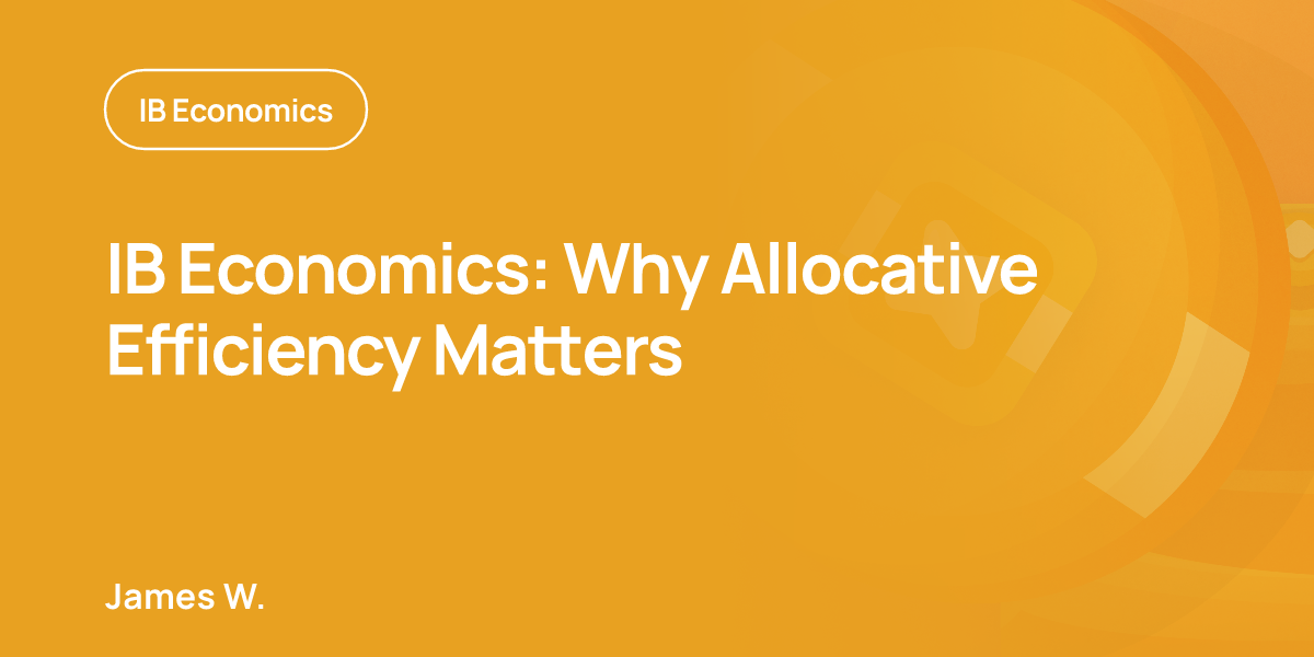 IB Economics: Why Allocative Efficiency Matters