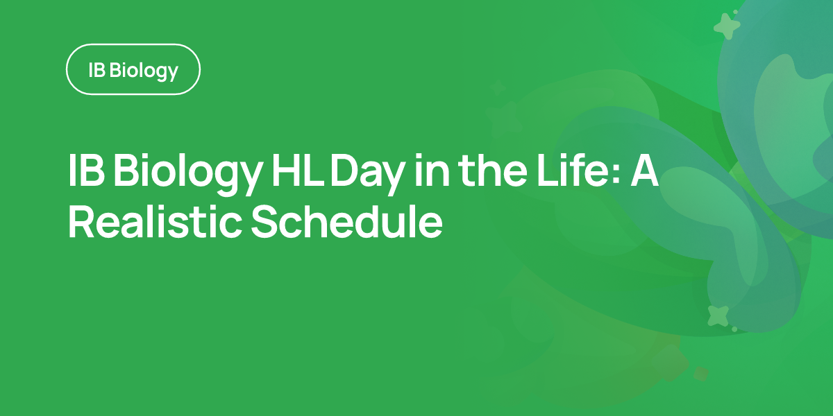 IB Biology HL Day in the Life: A Realistic Schedule
