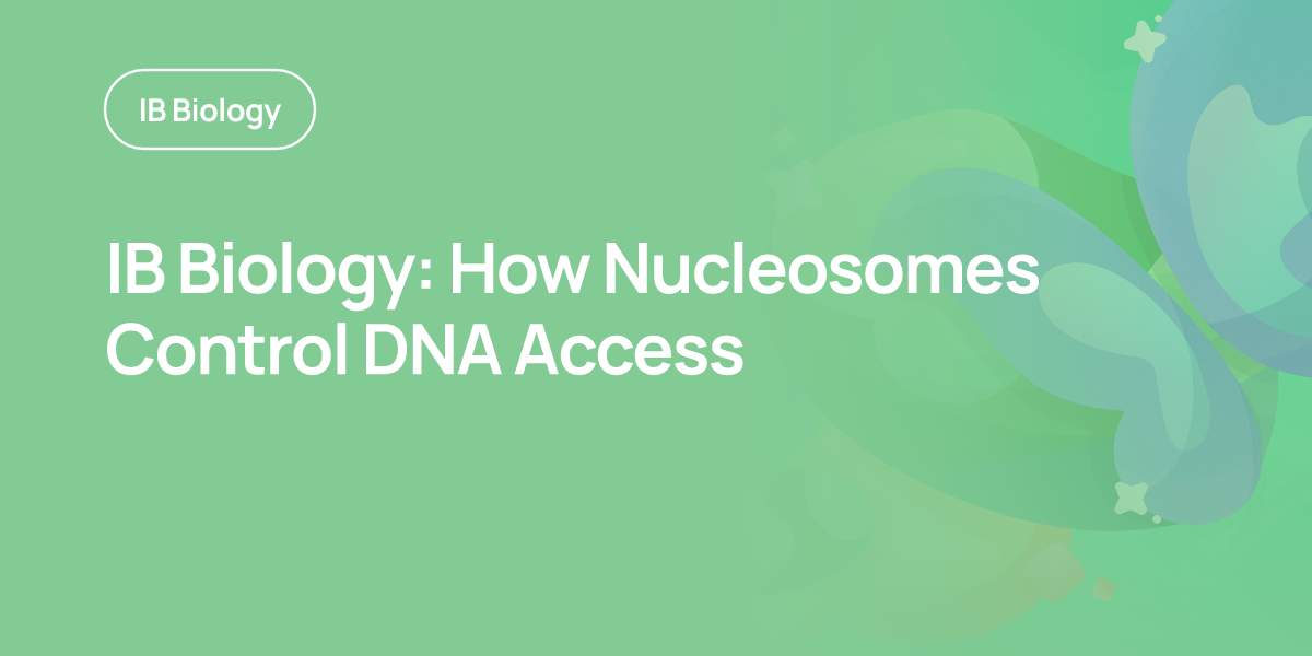 IB Biology: How Nucleosomes Control DNA Access