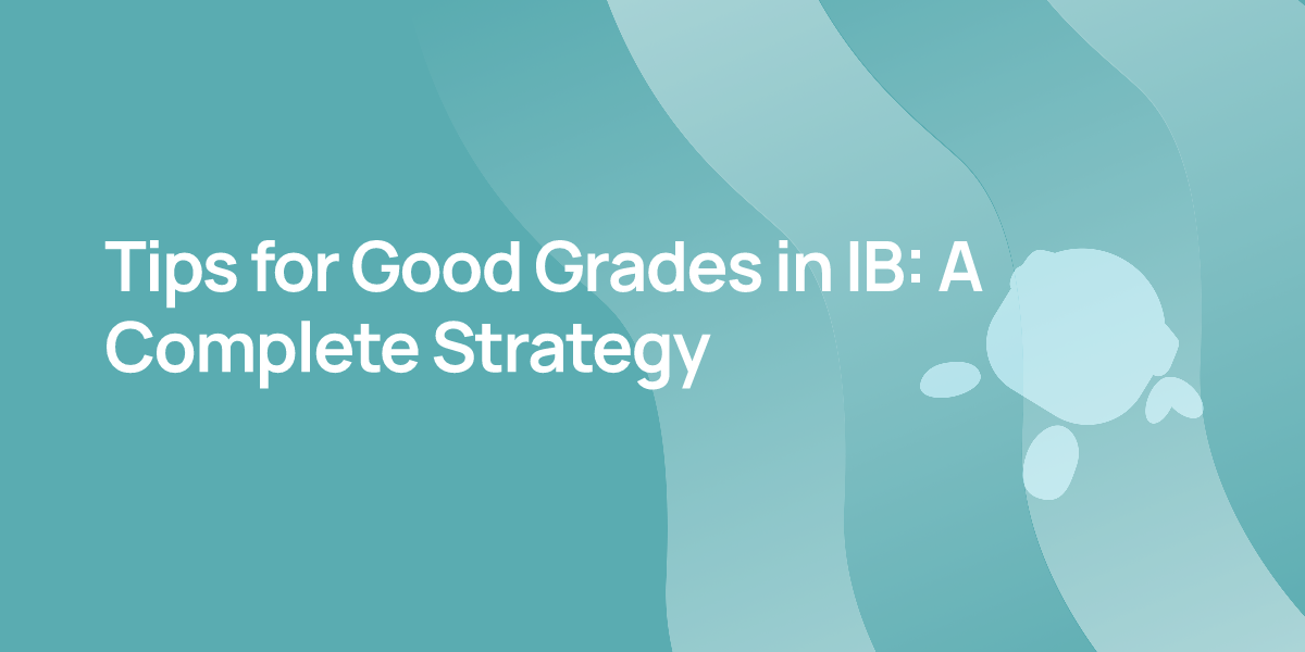 Tips for Good Grades in IB: A Complete Strategy
