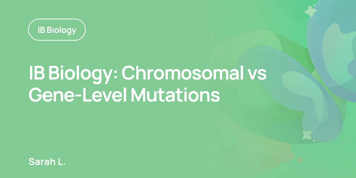 IB Biology: Chromosomal vs Gene-Level Mutations