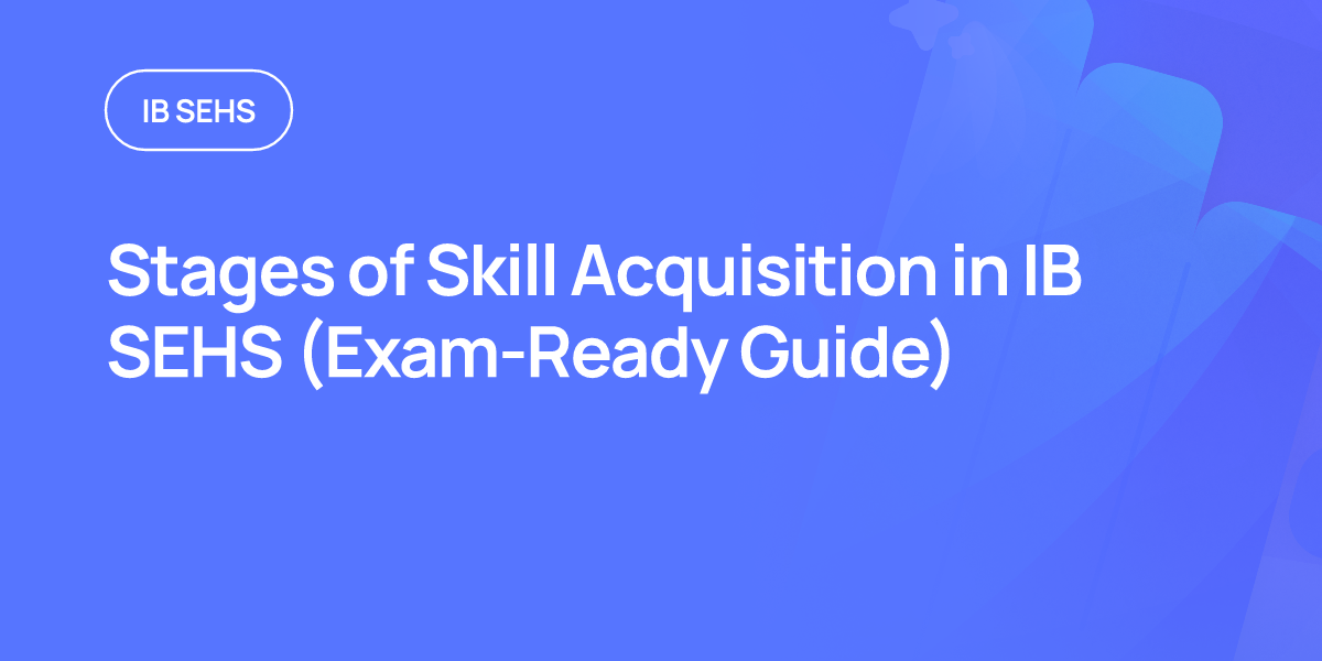 Stages of Skill Acquisition in IB SEHS (Exam-Ready Guide)