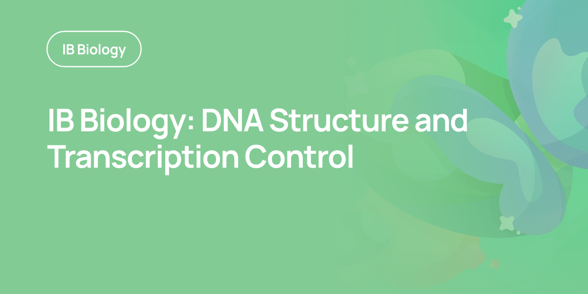 IB Biology: DNA Structure and Transcription Control