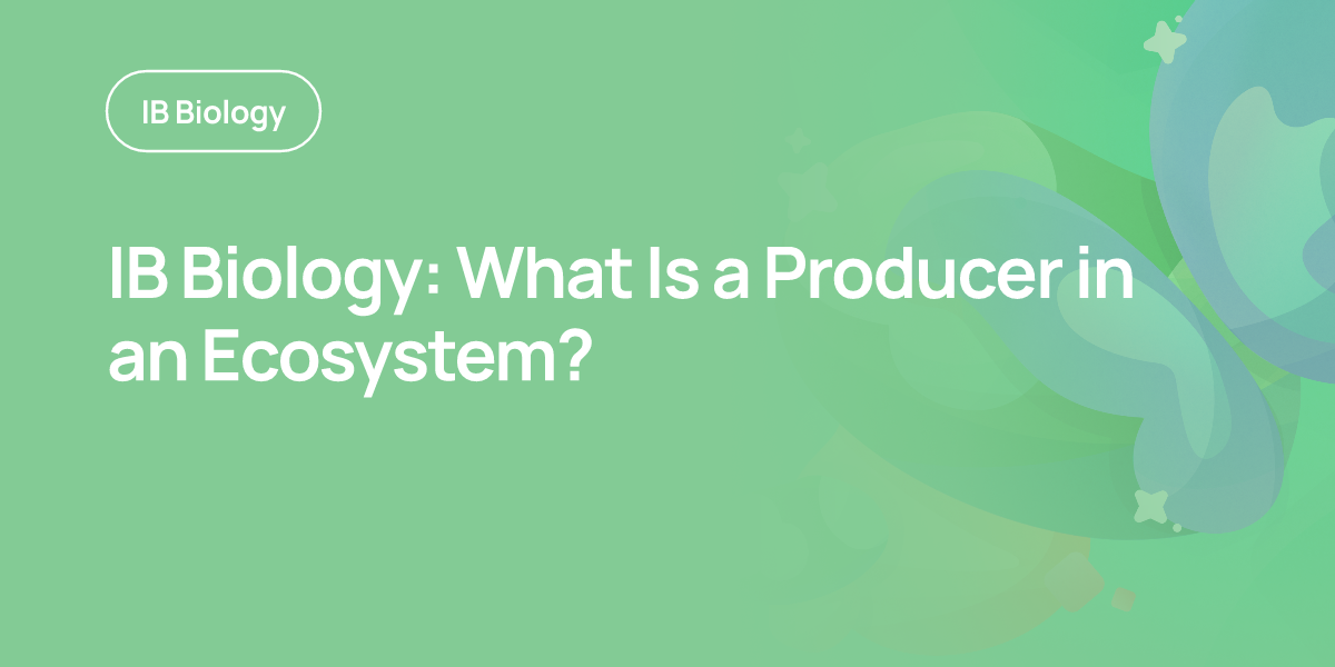 IB Biology: What Is a Producer in an Ecosystem?