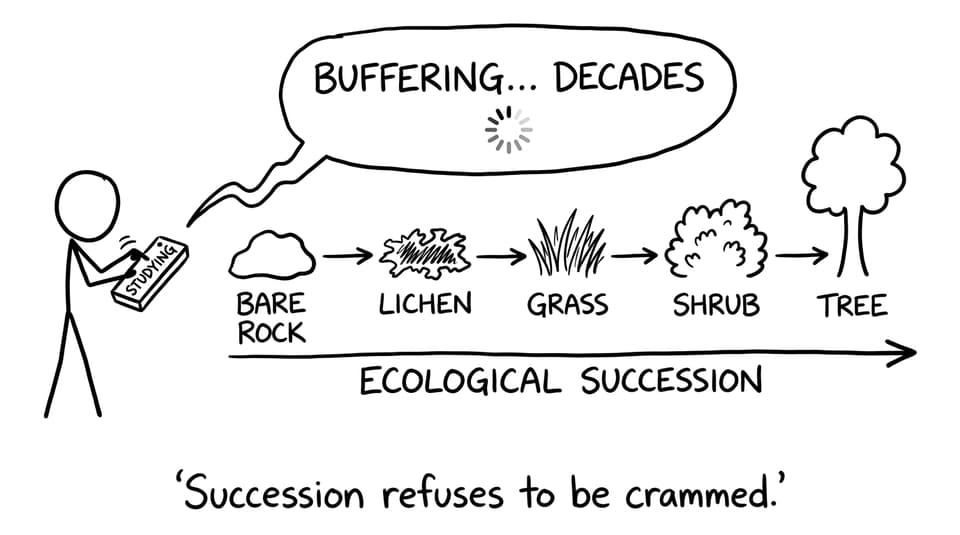A succession timeline that refuses to fast-forward
