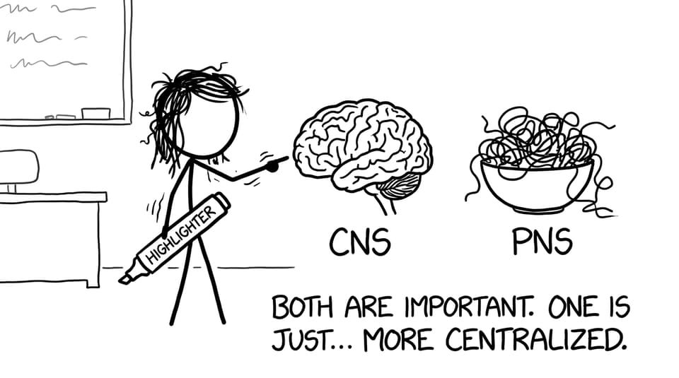 CNS vs PNS highlighter panic