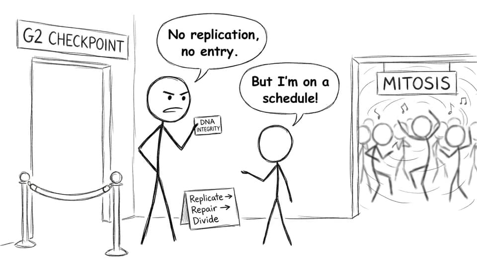 Comic: G2 checkpoint bouncer