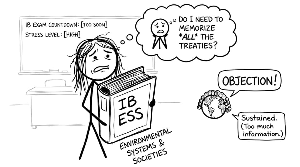 A stressed IB student meets a globe-lawyer
