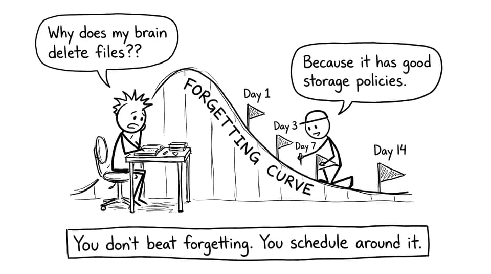 Comic: forgetting curve rollercoaster with scheduled flags