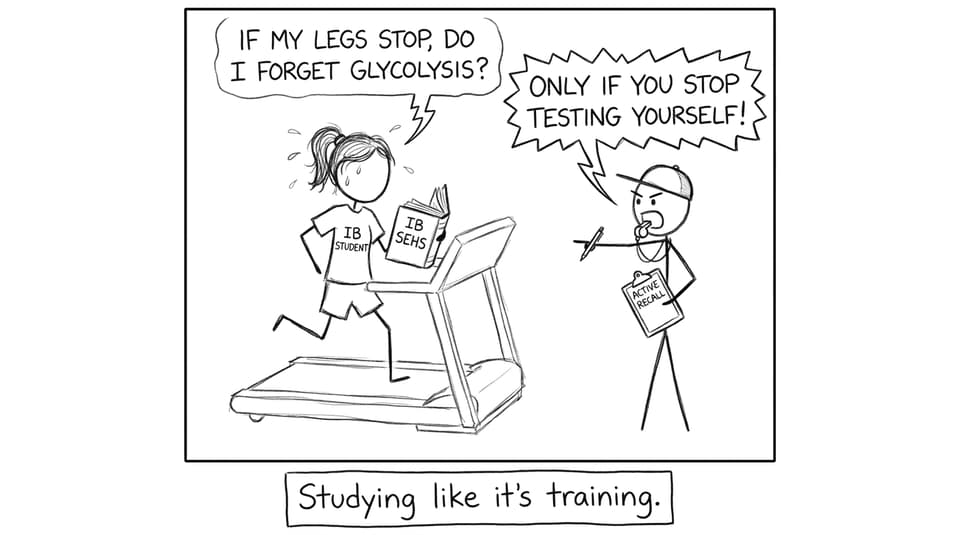 IB SEHS studying like training