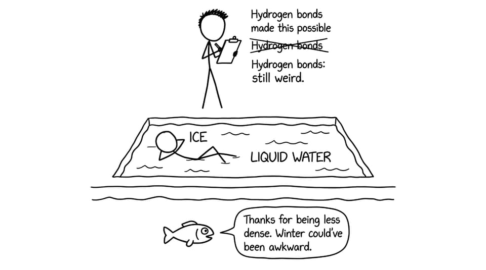 Ice less dense joke comic