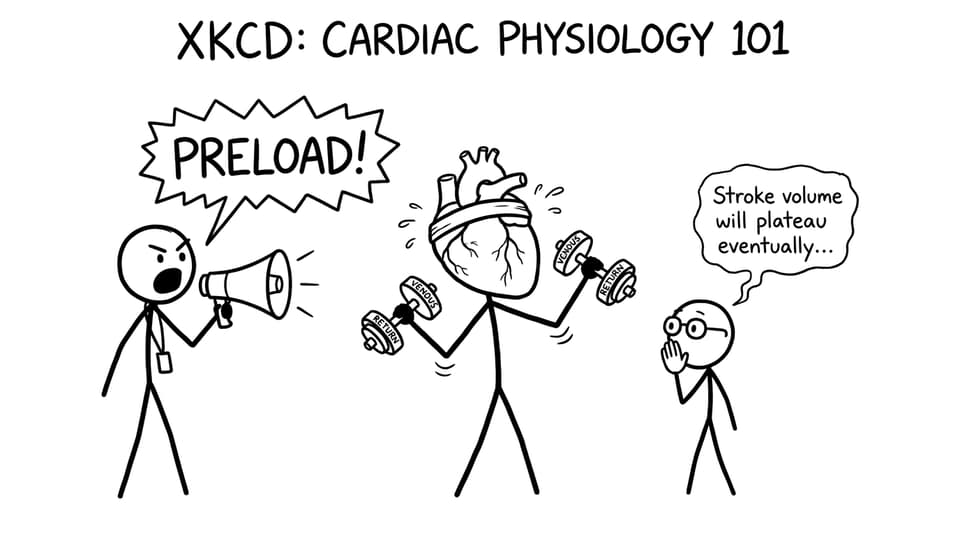 A heart tries to PR its preload at the gym