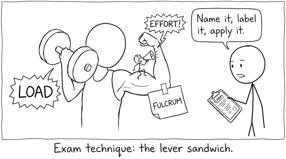 Biceps curl exam technique joke