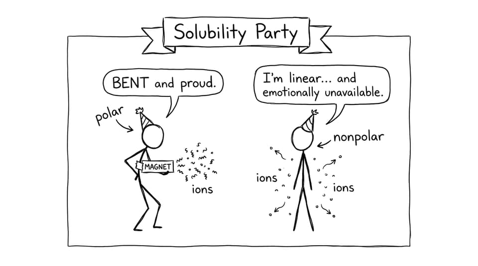 Solubility party polarity joke
