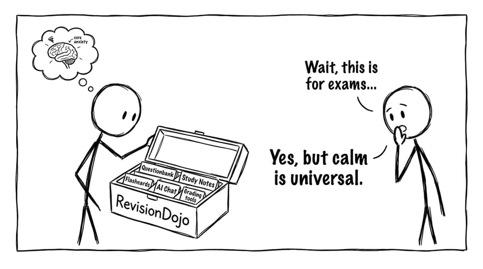 RevisionDojo toolbox joke comic