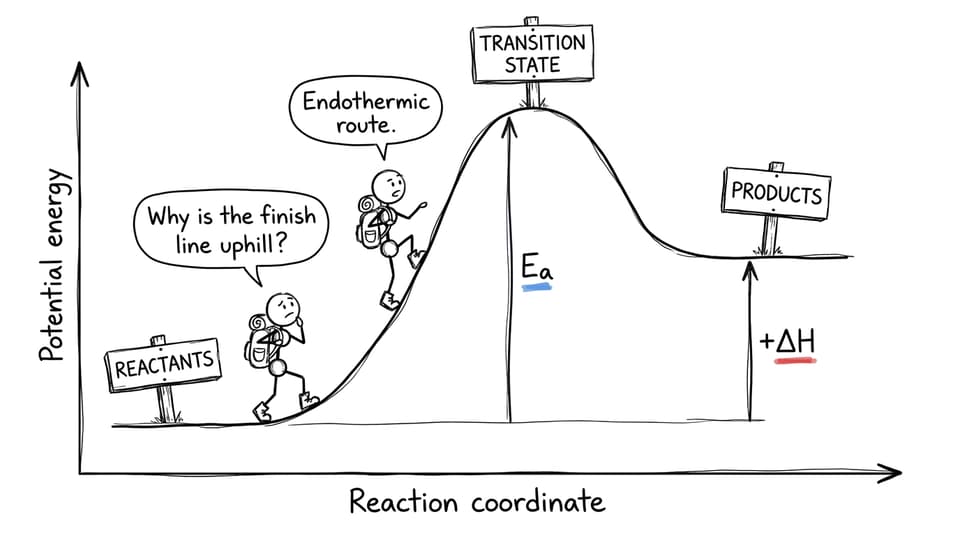 endothermic energy hill showing reactants, products, activation energy and positive enthalpy change