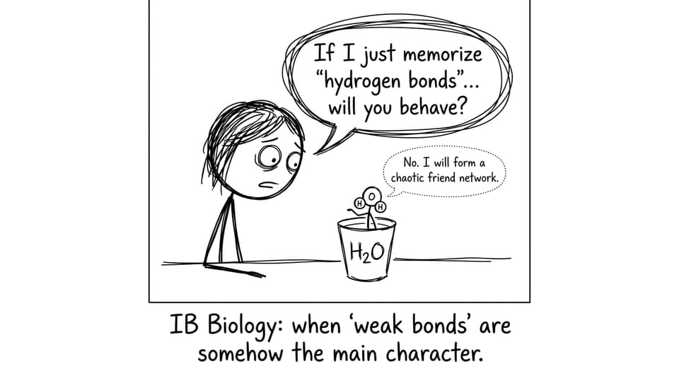 IB student vs water chaos comic
