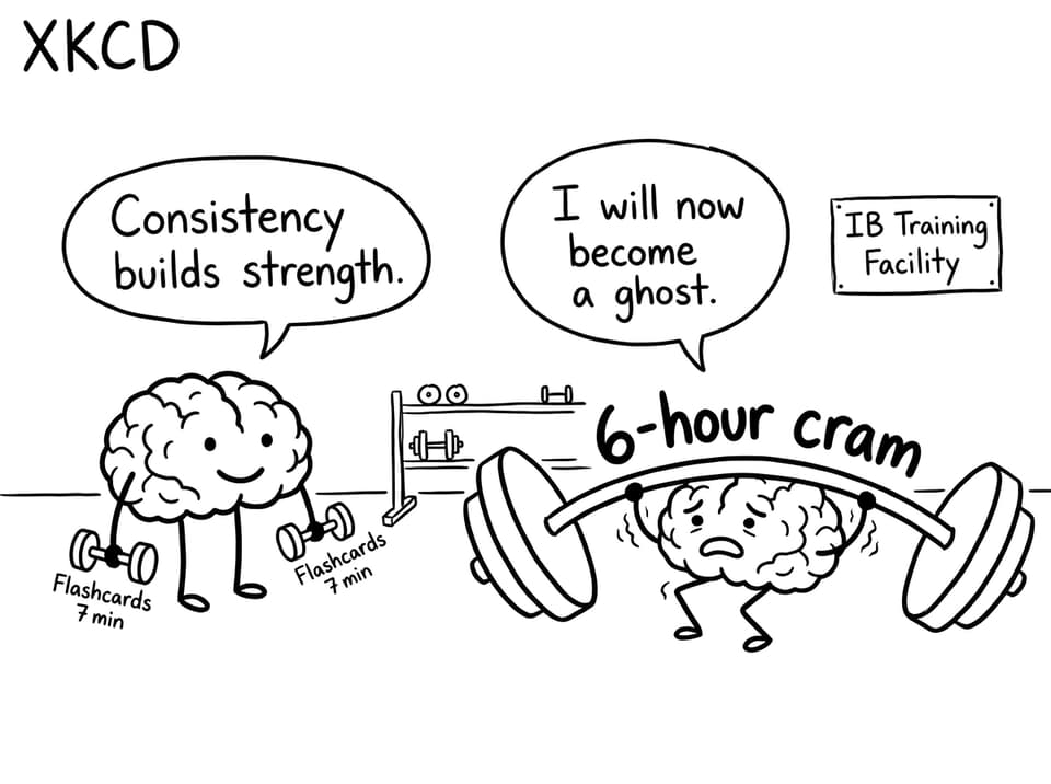 Brains at the IB training facility