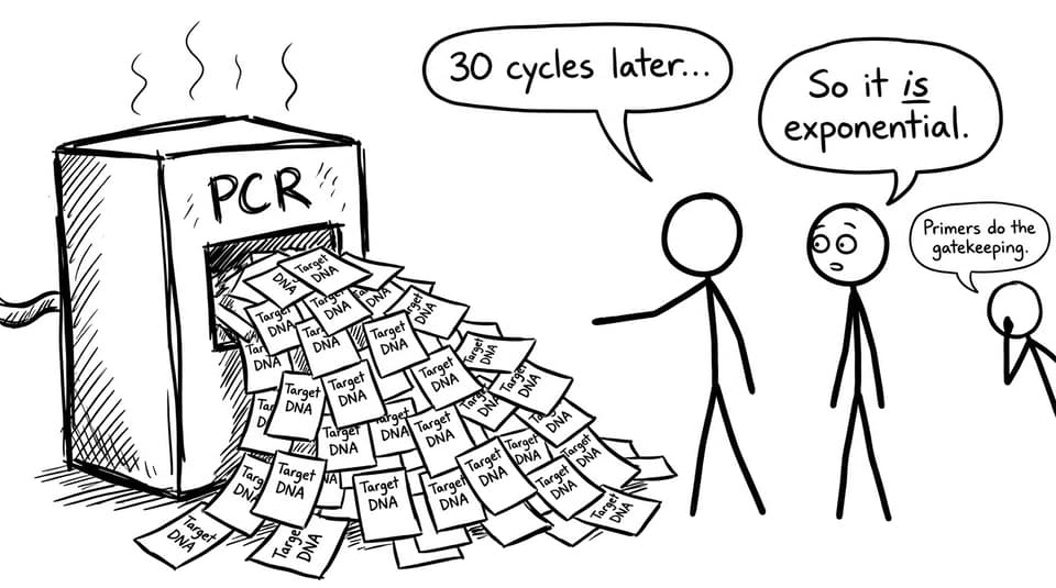 PCR as an overheating copy machine