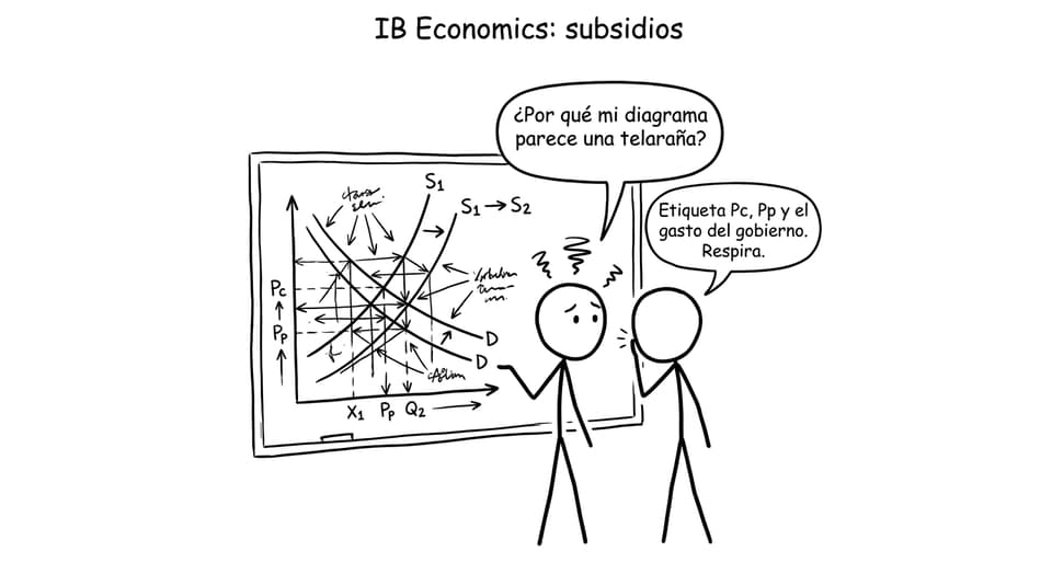IB Economics: subsidios y diagrama telaraña