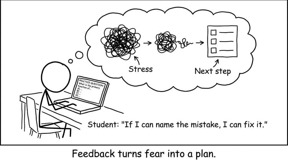 Feedback turns fear into a plan