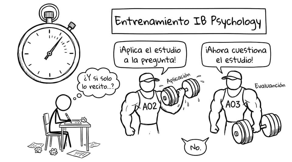 Entrenamiento IB Psychology