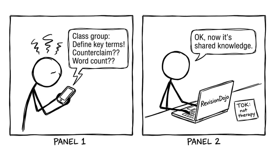 TOK comic: group chat vs RevisionDojo