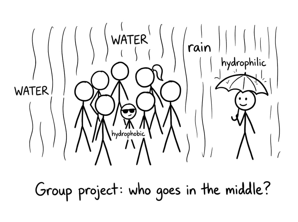 Hydrophobic vs hydrophilic group project
